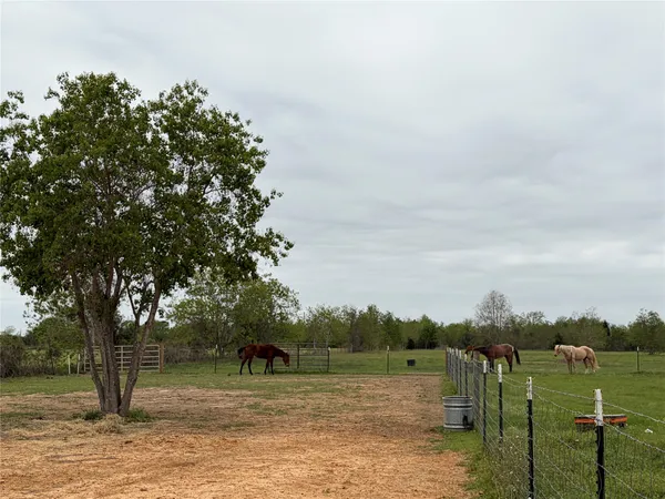$995 | 17523 Premium Drive, Hockley, TX 77447