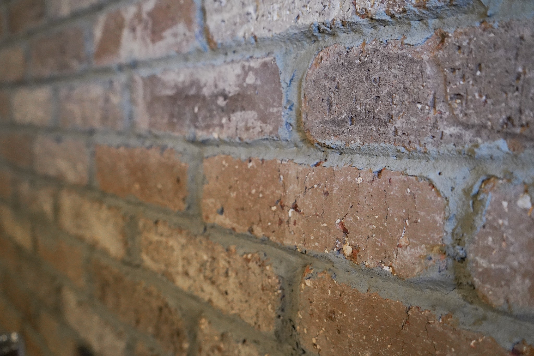 4055 Calista Road Cross Plains, TN 37049 - Photo 35 of 45