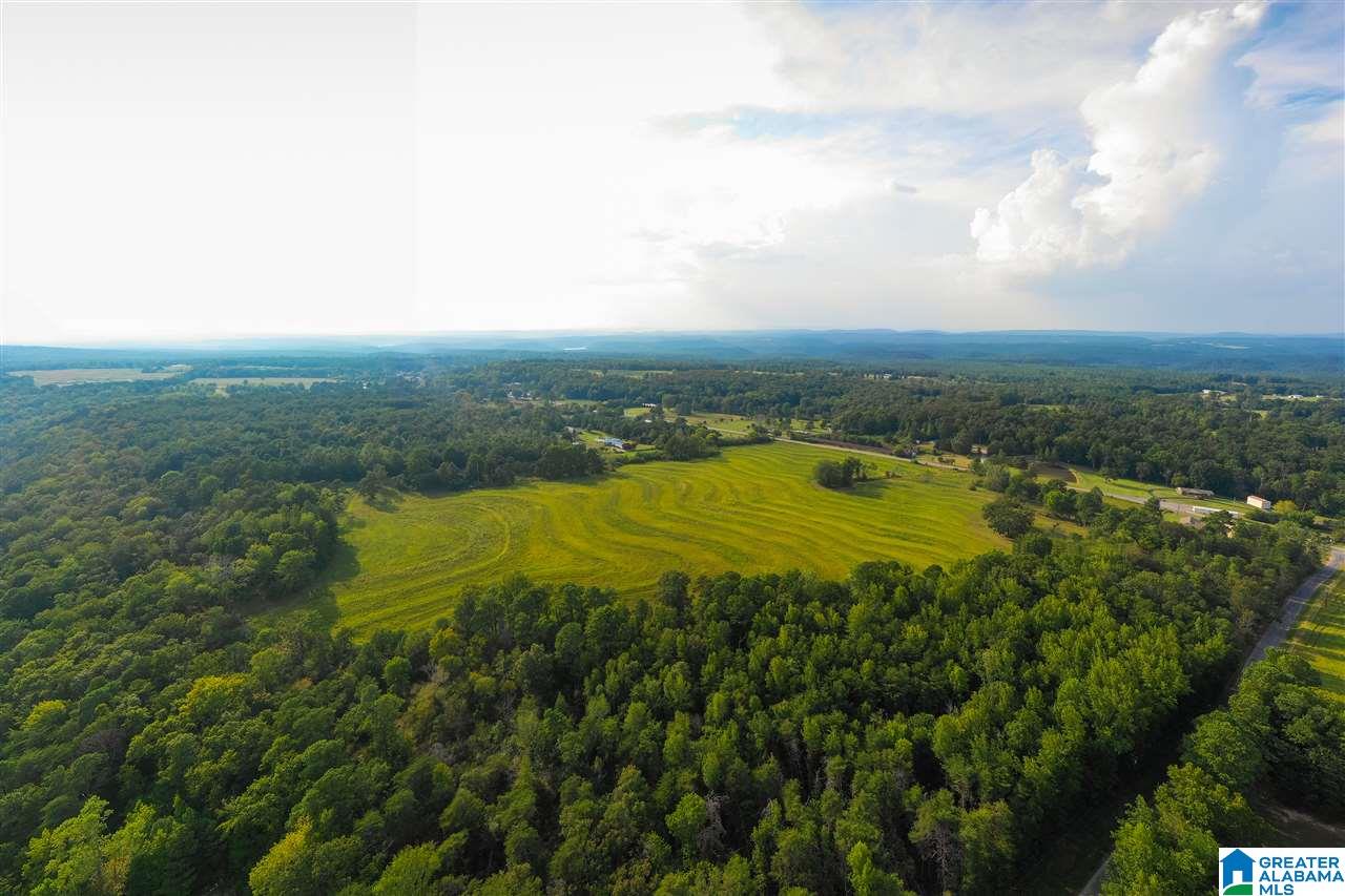 0 County Road 27, Unit 46 ACRES Springville, AL 35146 - Photo 1 of 11