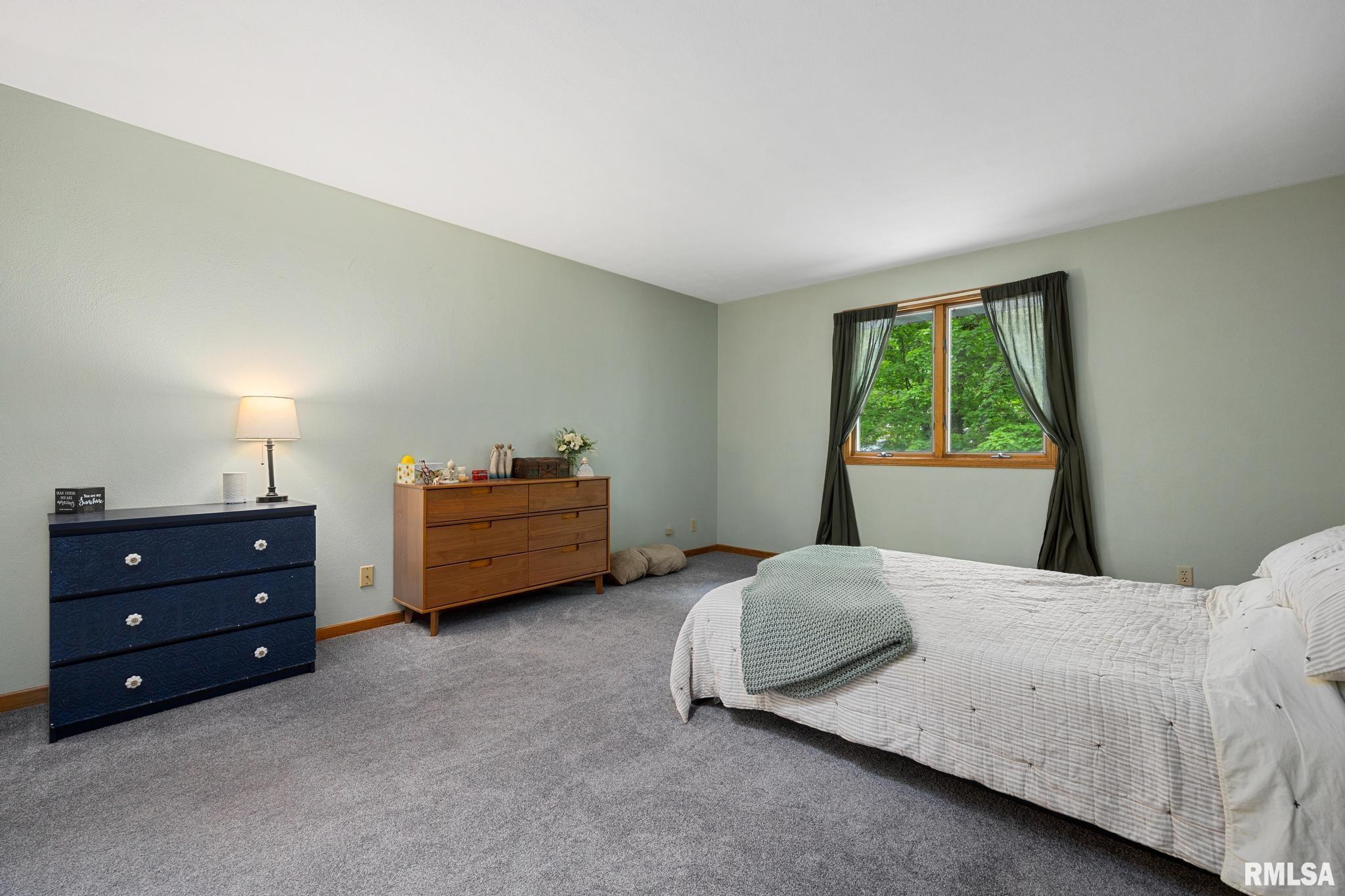 12227 Wood Ridge Court Dunlap, IL 61525 - Photo 28 of 54