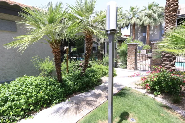 a view of yard