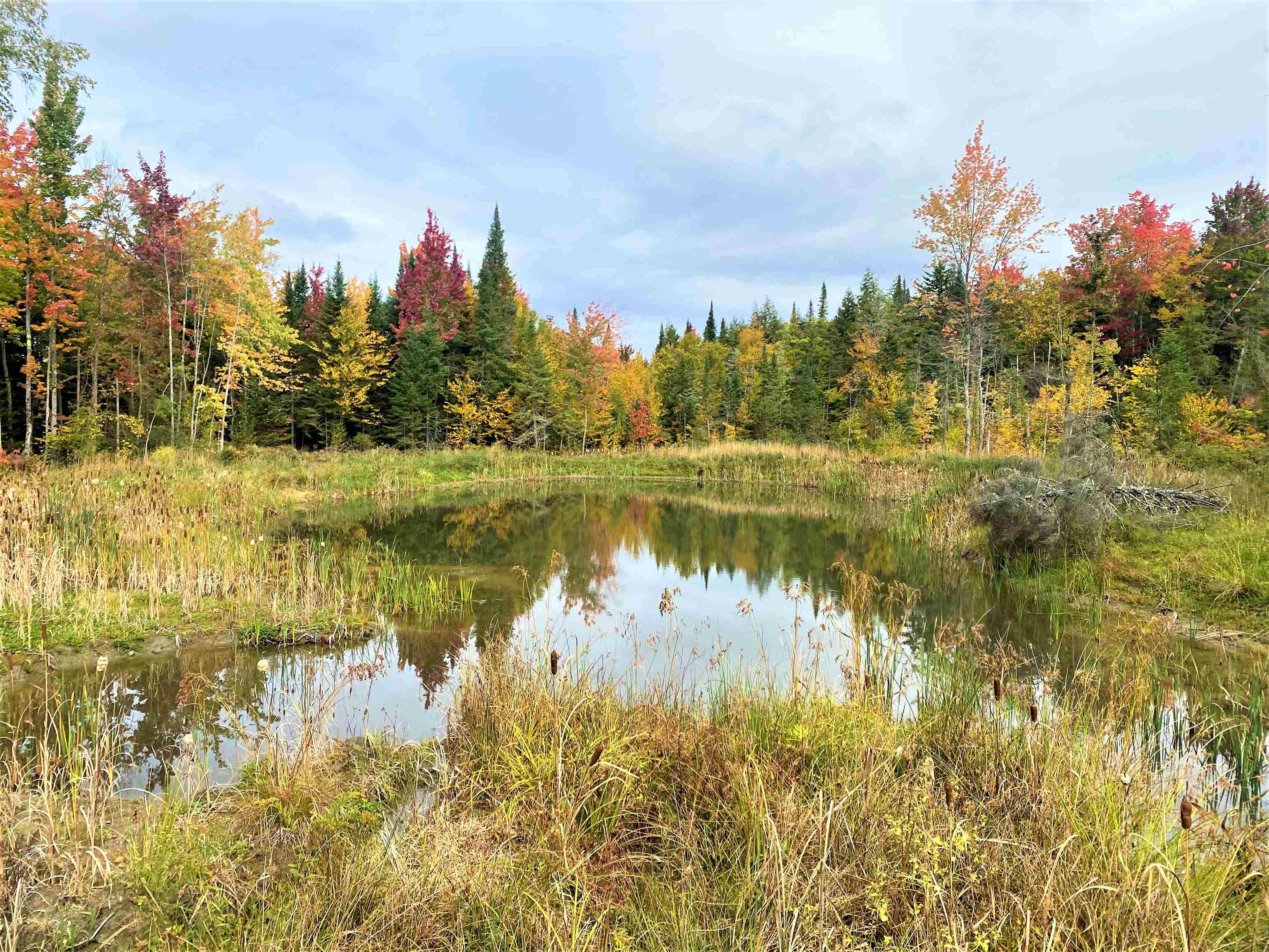 3905 Loop Road Troy, VT 05874 - Photo 34 of 40