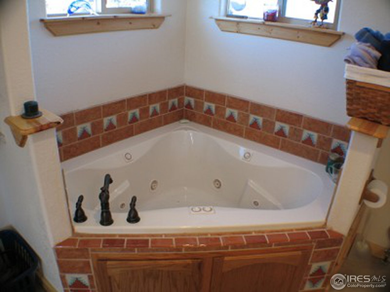 29 Bunny Road Bailey, CO 80421 - Photo 4 of 6 Gallery Image 4