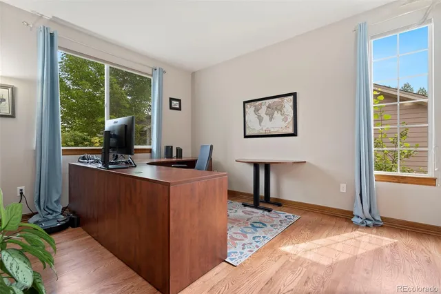 a room with furniture and windows