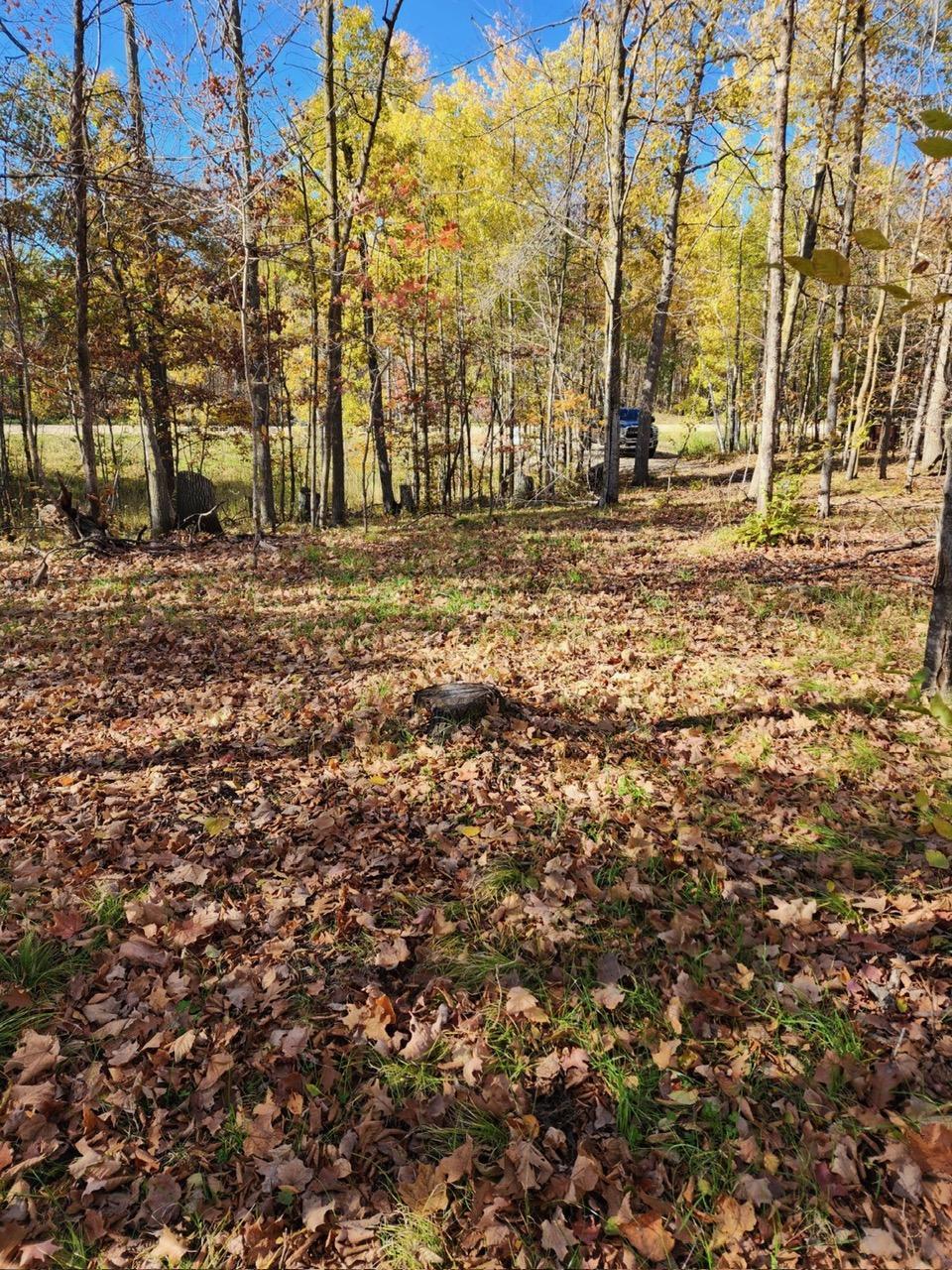 Lot 7 Southwest Pickerel Lake Road Detroit Lakes, MN 56501 - Photo 2 of 8