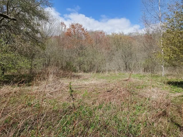 a view of outdoor space and green field