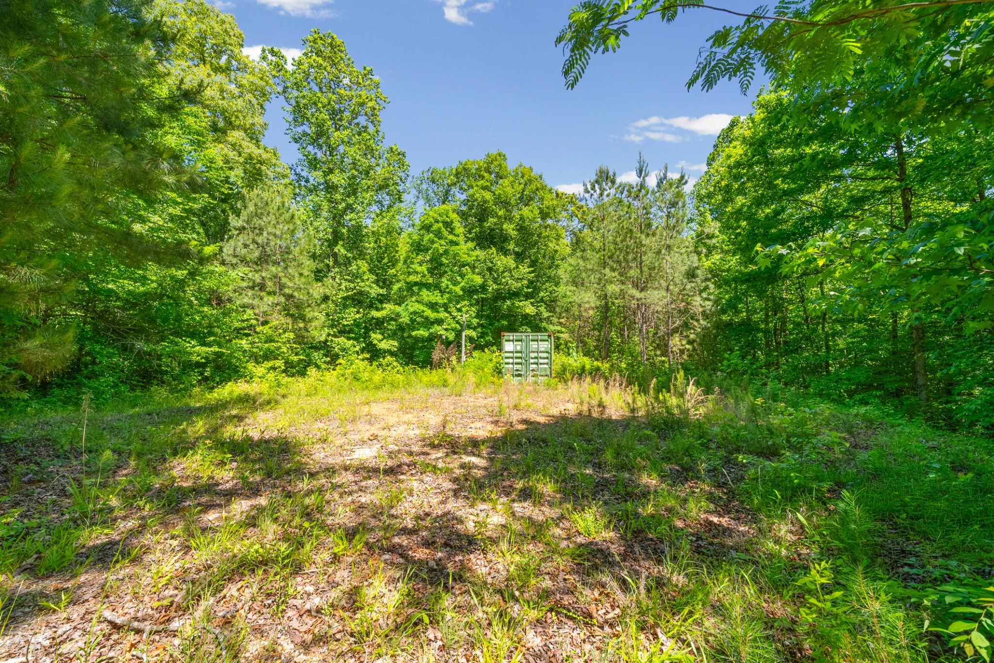 1530 Spring Hill Road Paris, TN 38242 - Photo 4 of 20 Gallery Image 4