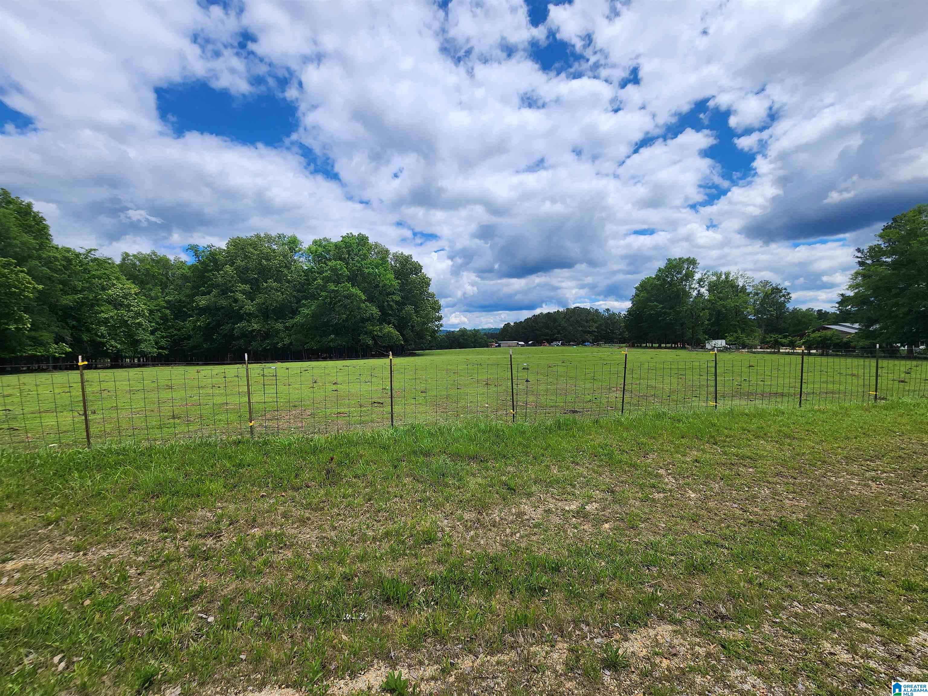 305 Stolle Farm Road, Unit METES AND BOUNDS Ashville, AL 35953 - Photo 3 of 7