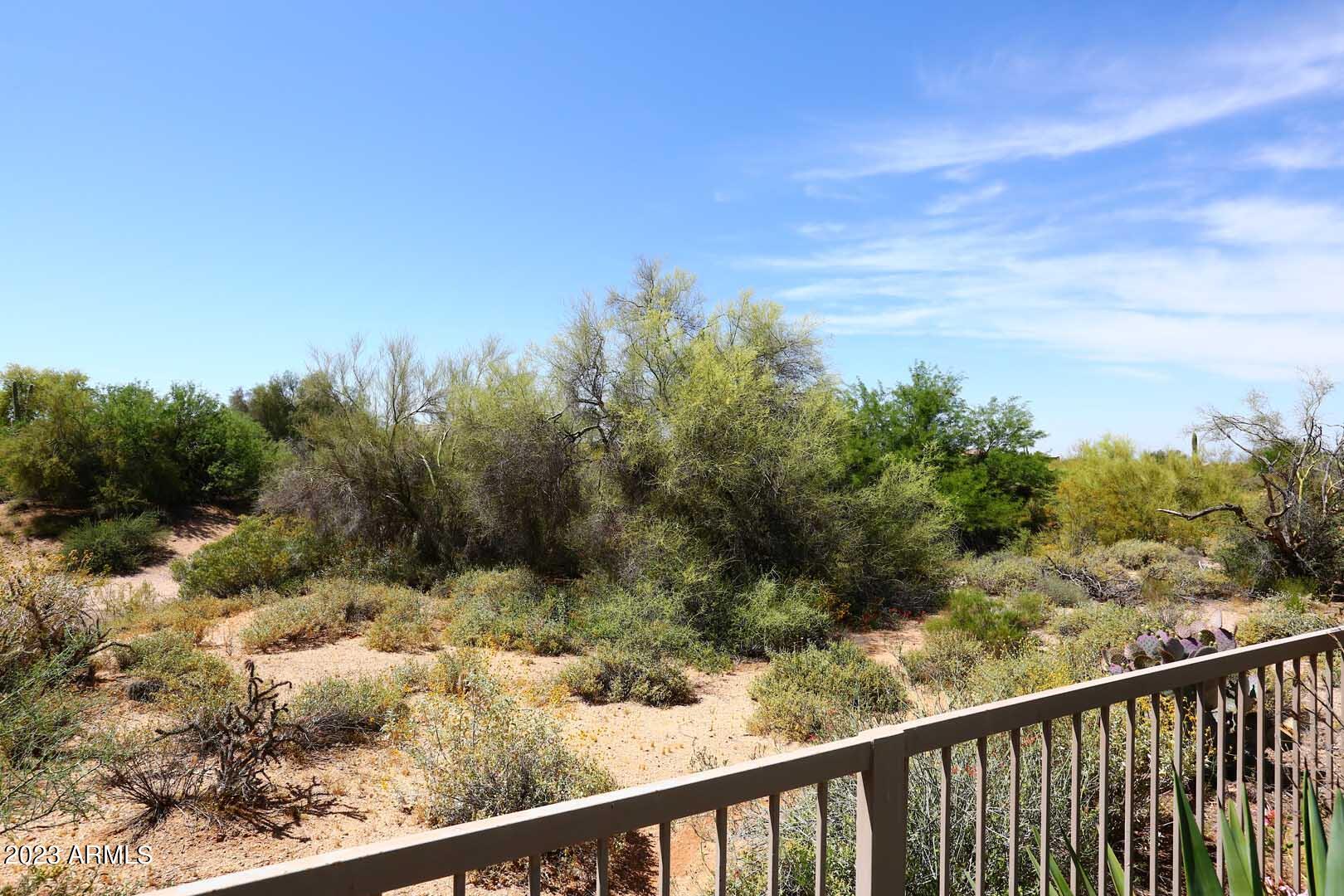 6335 East Marioca Circle Scottsdale, AZ 85266 - Photo 44 of 66 Open Space behind Home