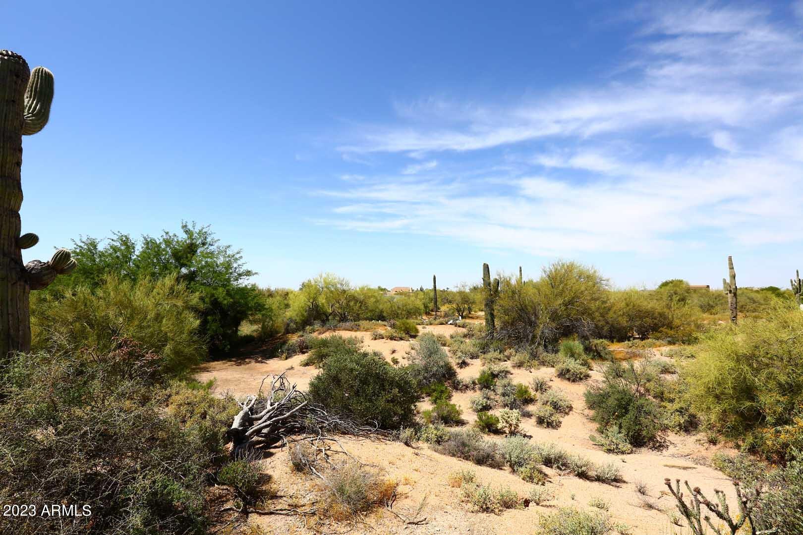 6335 East Marioca Circle Scottsdale, AZ 85266 - Photo 46 of 66 Open Space behind Home3