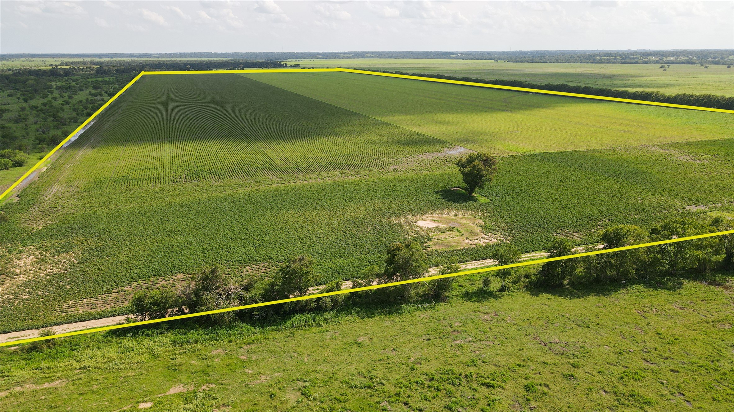 0 Felder Road Washington, TX 77880 - Photo 3 of 9