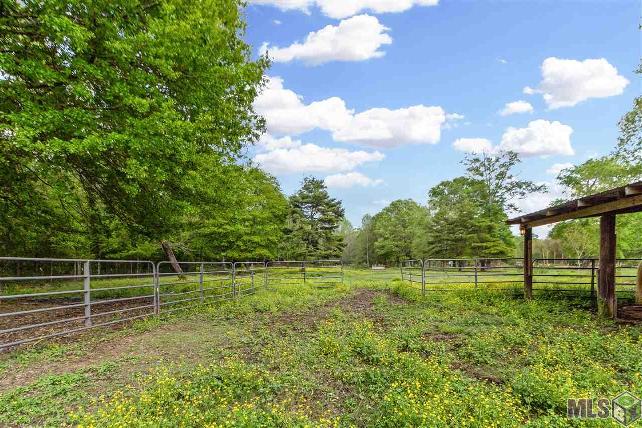 35741 Weiss Road Walker, LA 70785 - Photo 5 of 21
