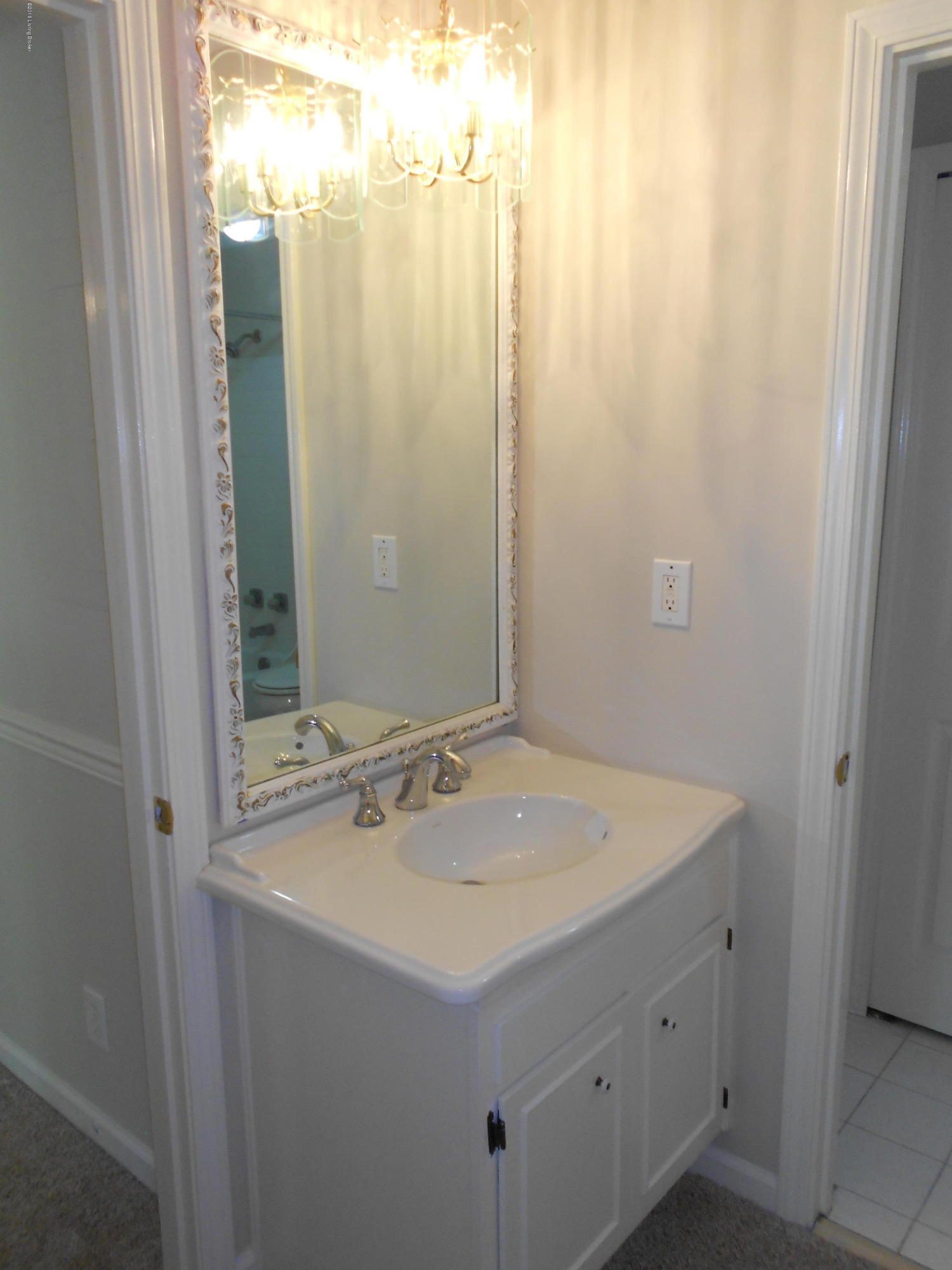 268 Moser Road, Unit 268 Louisville, KY 40223 - Photo 19 of 25 2nd Master vanity with hall acess