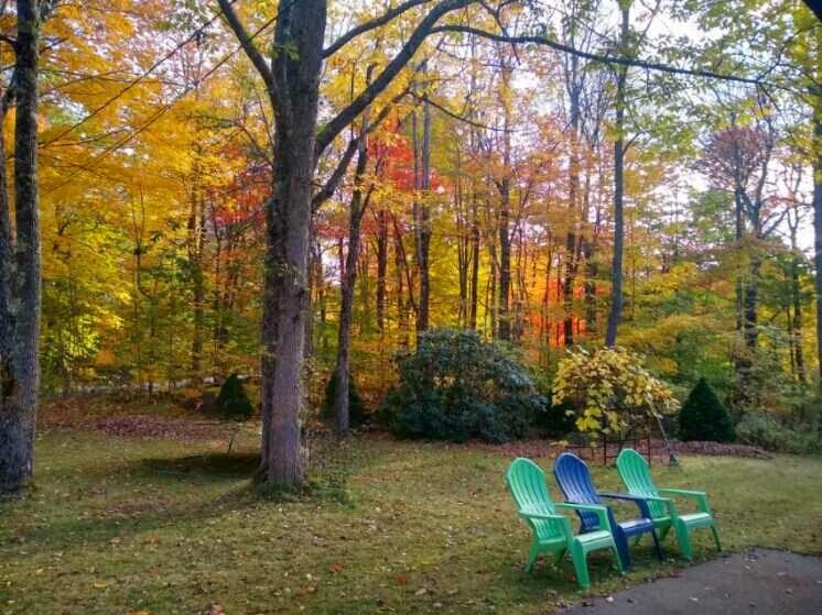 80 Marston Road Richmond, ME 04357 - Photo 29 of 30 Fall Backyard