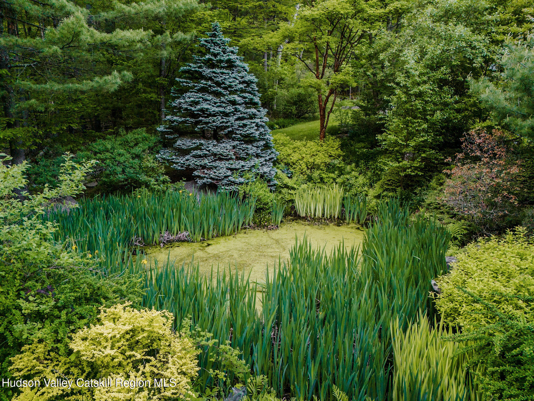 52 Aster Road Olivebridge, NY 12461 - Photo 21 of 23 a backyard of a house with lots of green space
