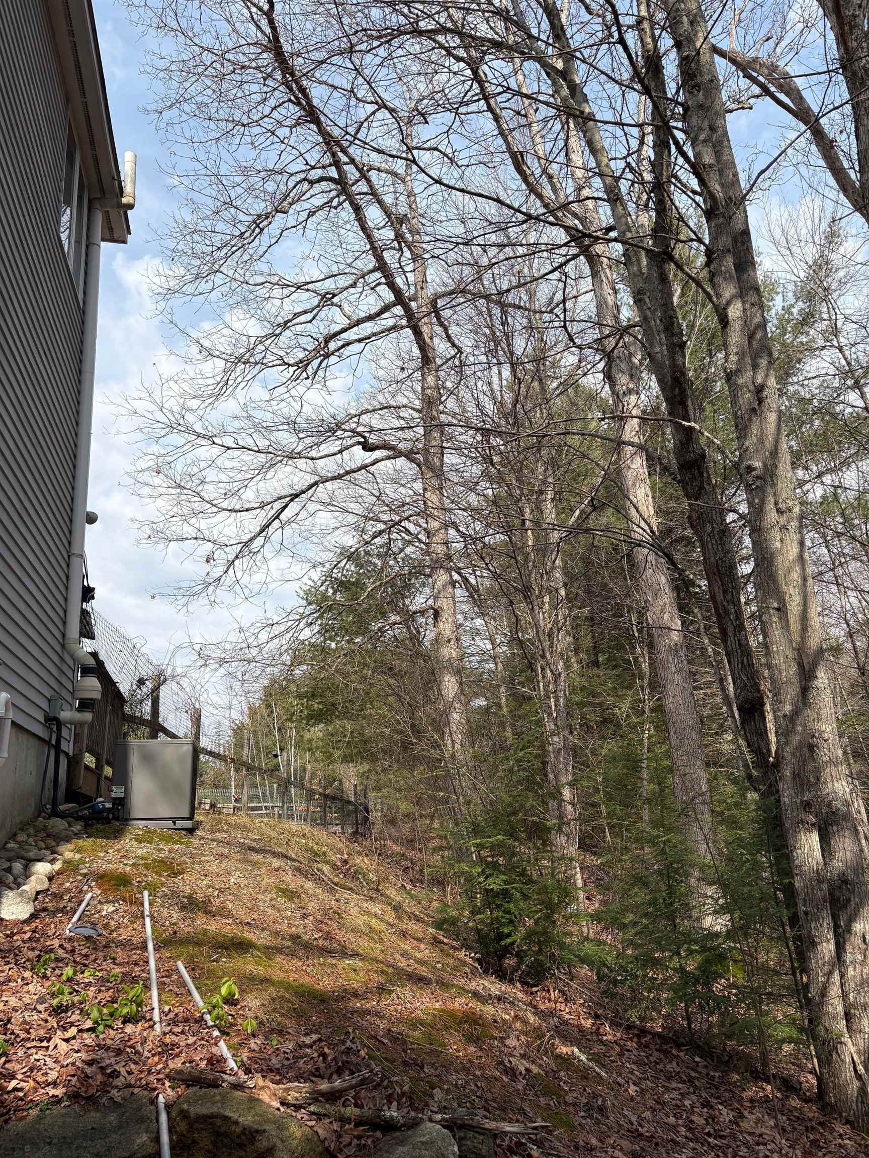 6 South Spaulding Brook Road Brookline, NH 03033 - Photo 37 of 42