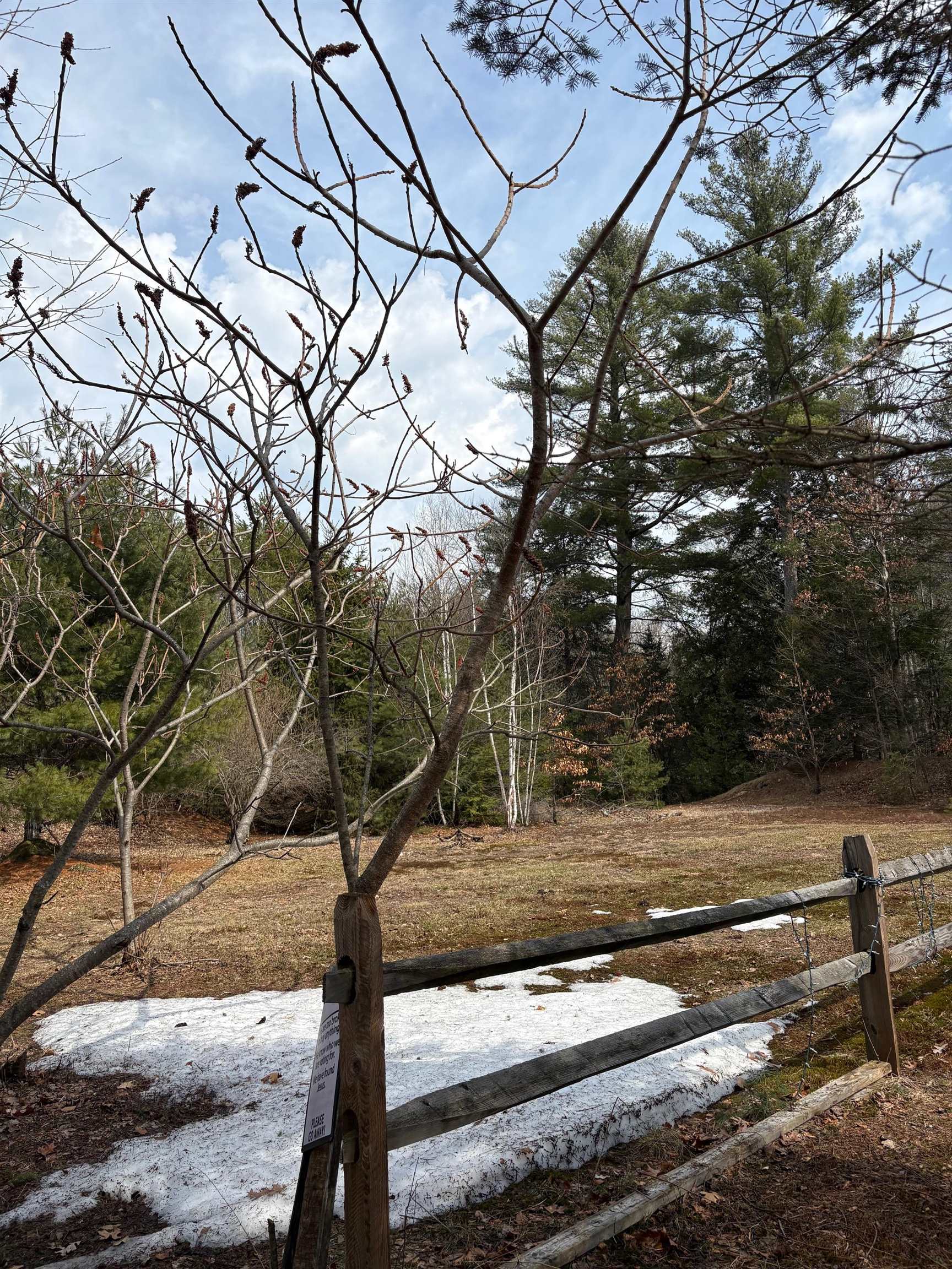 6 South Spaulding Brook Road Brookline, NH 03033 - Photo 4 of 42