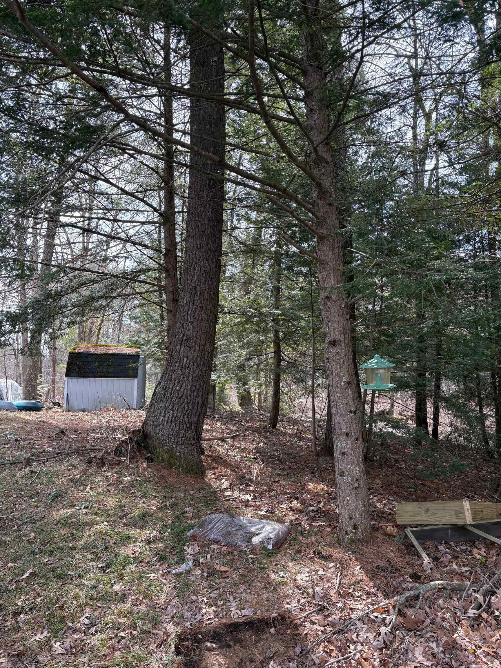 6 South Spaulding Brook Road Brookline, NH 03033 - Photo 41 of 42