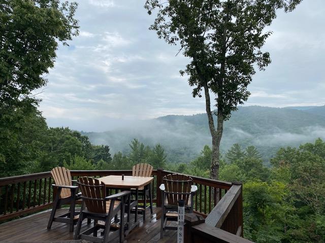 101 Falling Rock Road Blue Ridge, GA 30513 - Photo 44 of 64 Photo provided by seller