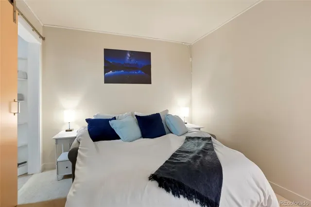 a bedroom with a bed and a walk in closet