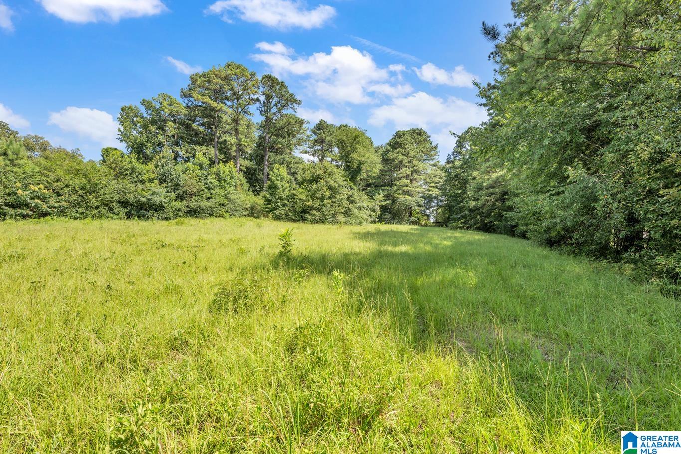 1325 Reds Road Bessemer, AL 35022 - Photo 20 of 32