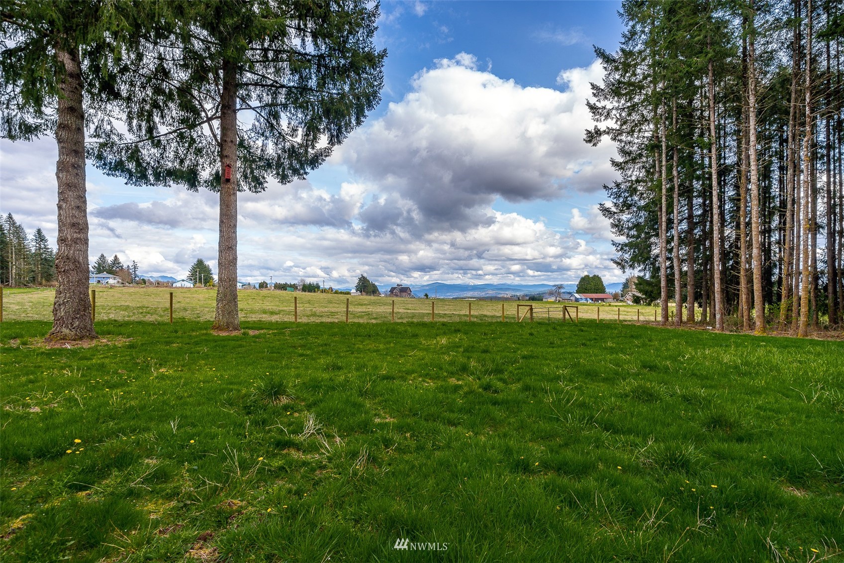 166 Smokey Ridge Road, Unit B Onalaska, WA 98570 - Photo 28 of 35 Gallery Image 28
