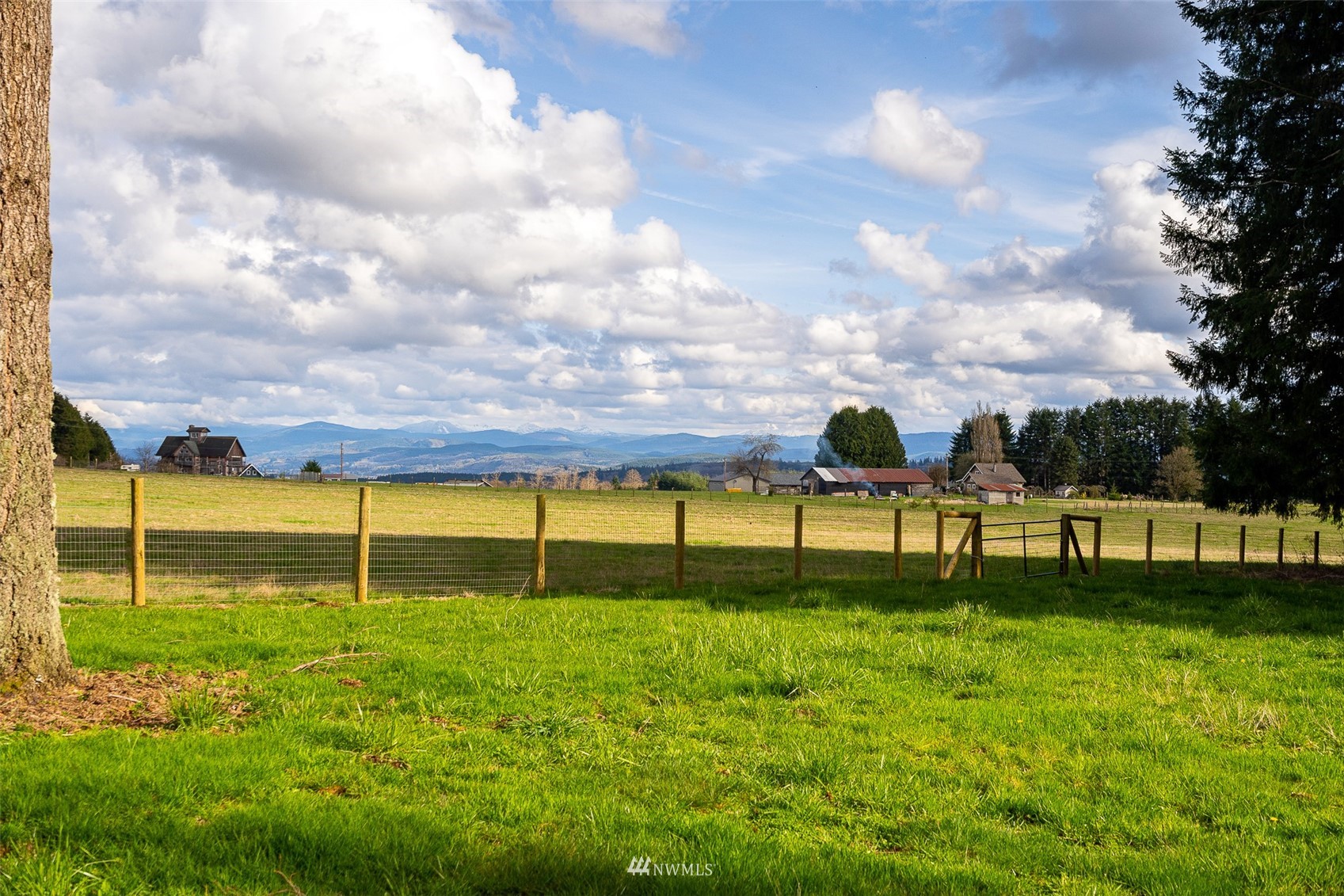 166 Smokey Ridge Road, Unit B Onalaska, WA 98570 - Photo 30 of 35 Gallery Image 30