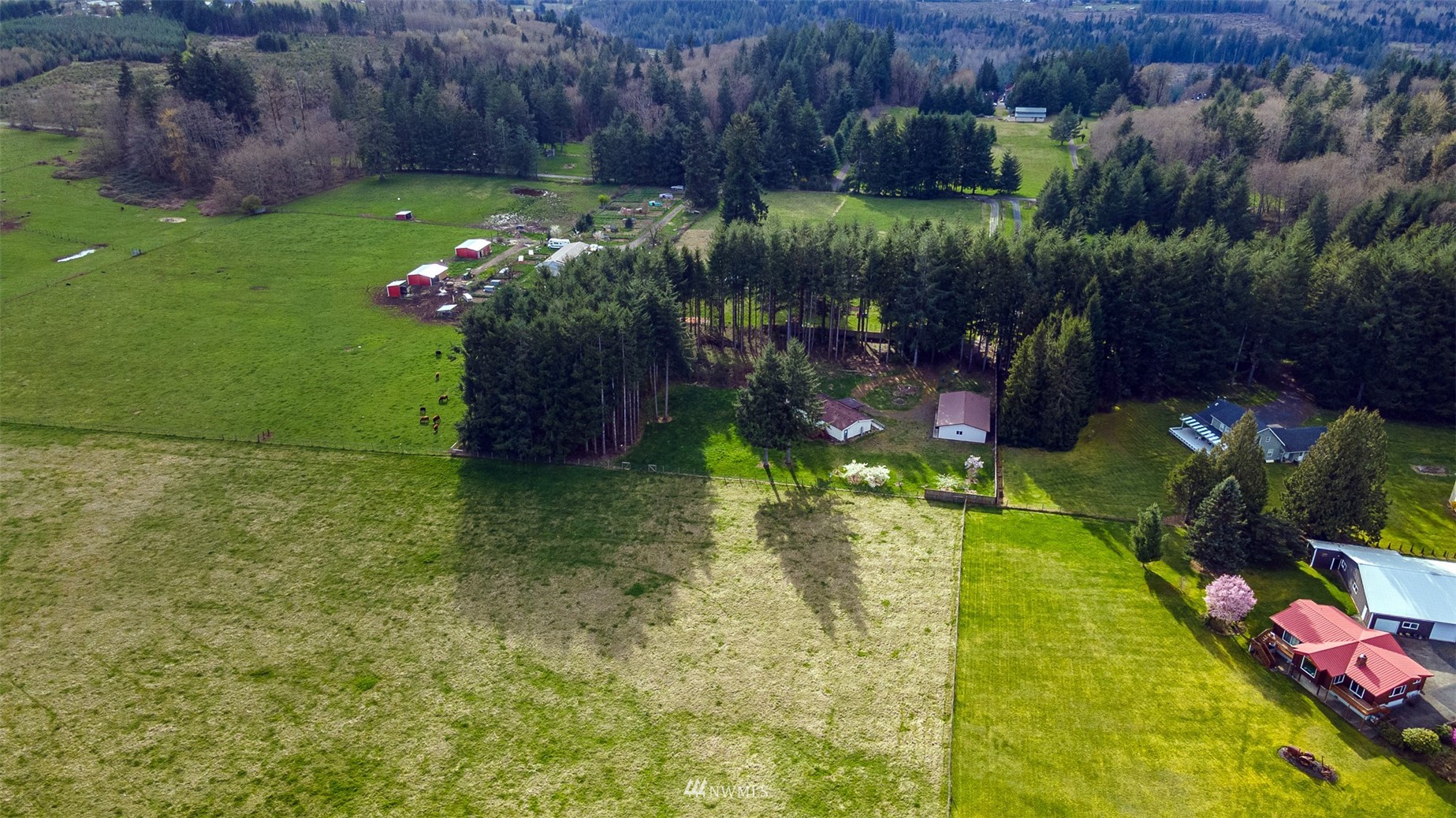 166 Smokey Ridge Road, Unit B Onalaska, WA 98570 - Photo 31 of 35 Gallery Image 31