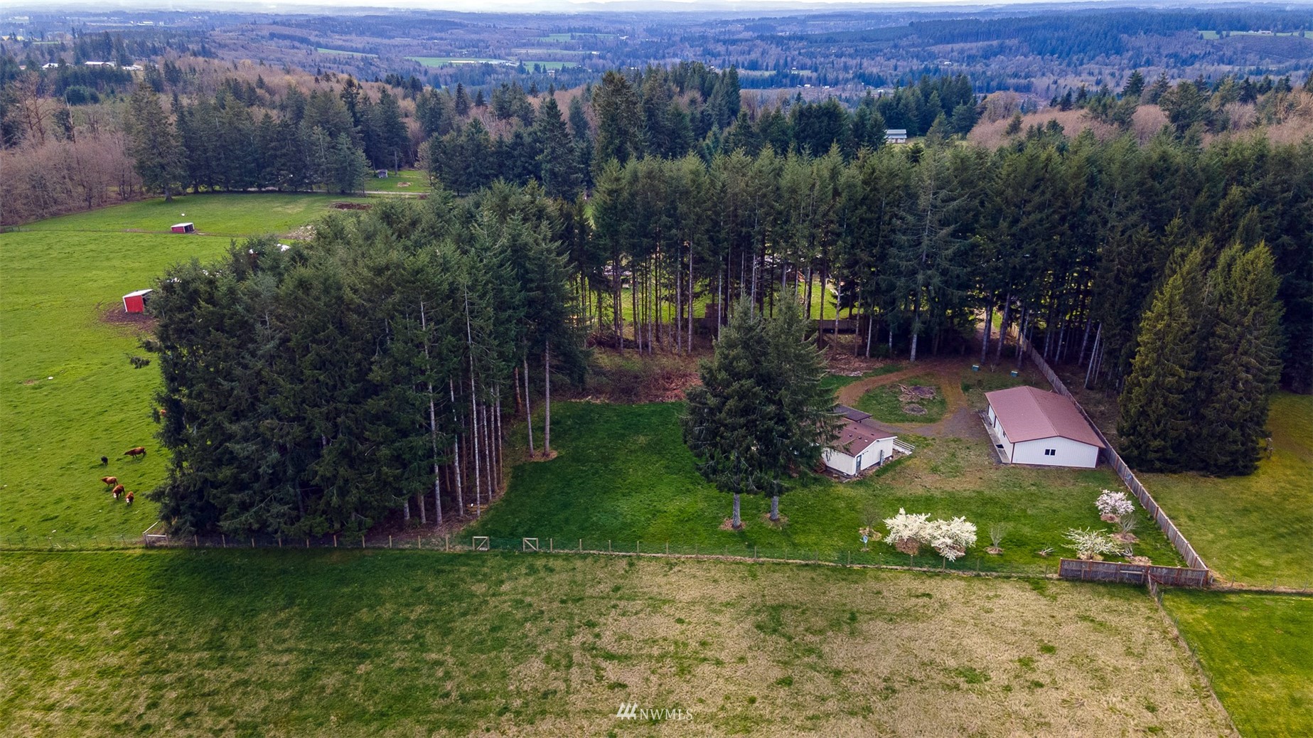 166 Smokey Ridge Road, Unit B Onalaska, WA 98570 - Photo 33 of 35 Gallery Image 33