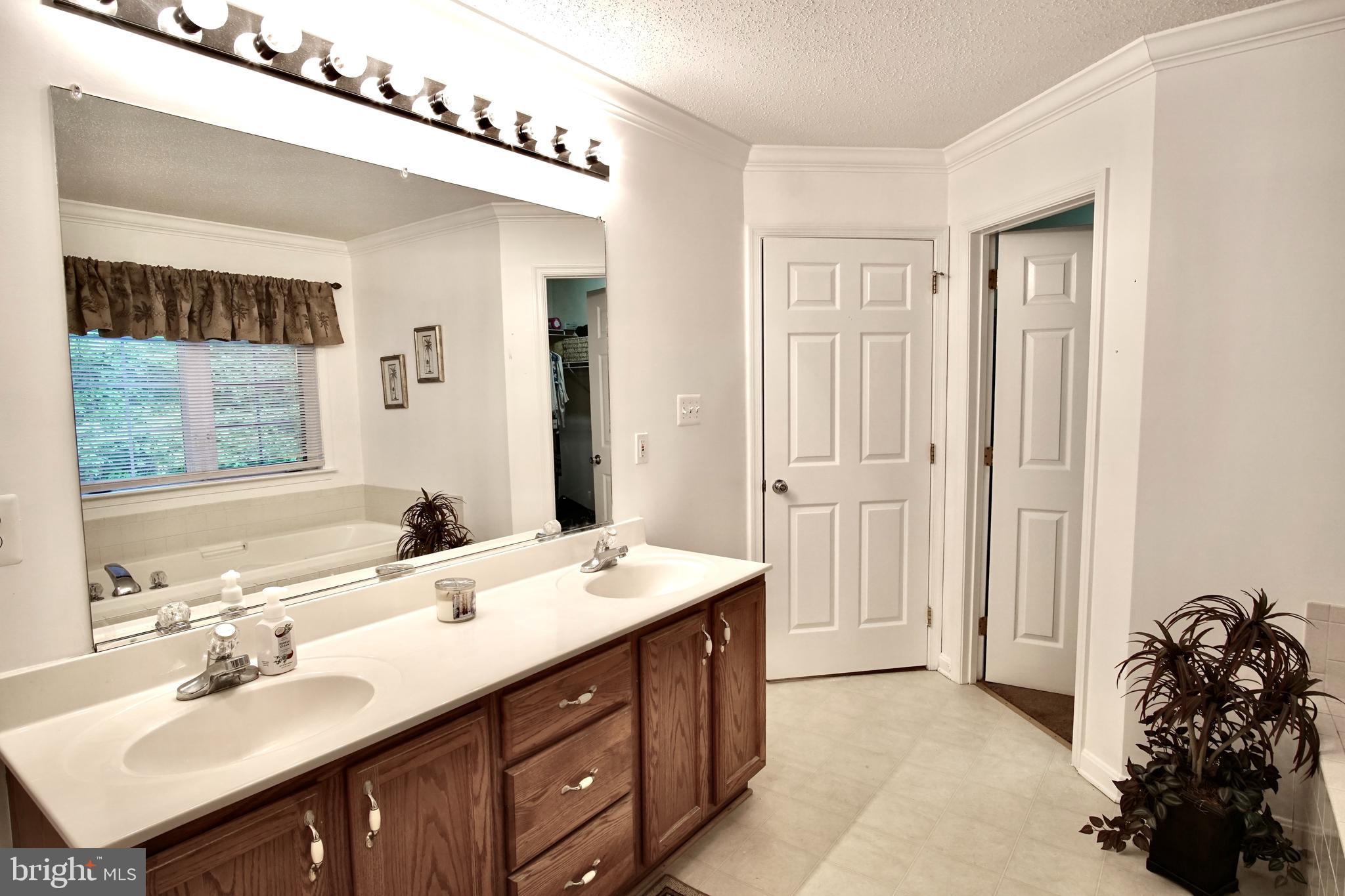 14550 Ivy Dale Court Swan Point, MD 20645 - Photo 34 of 48 Master bath