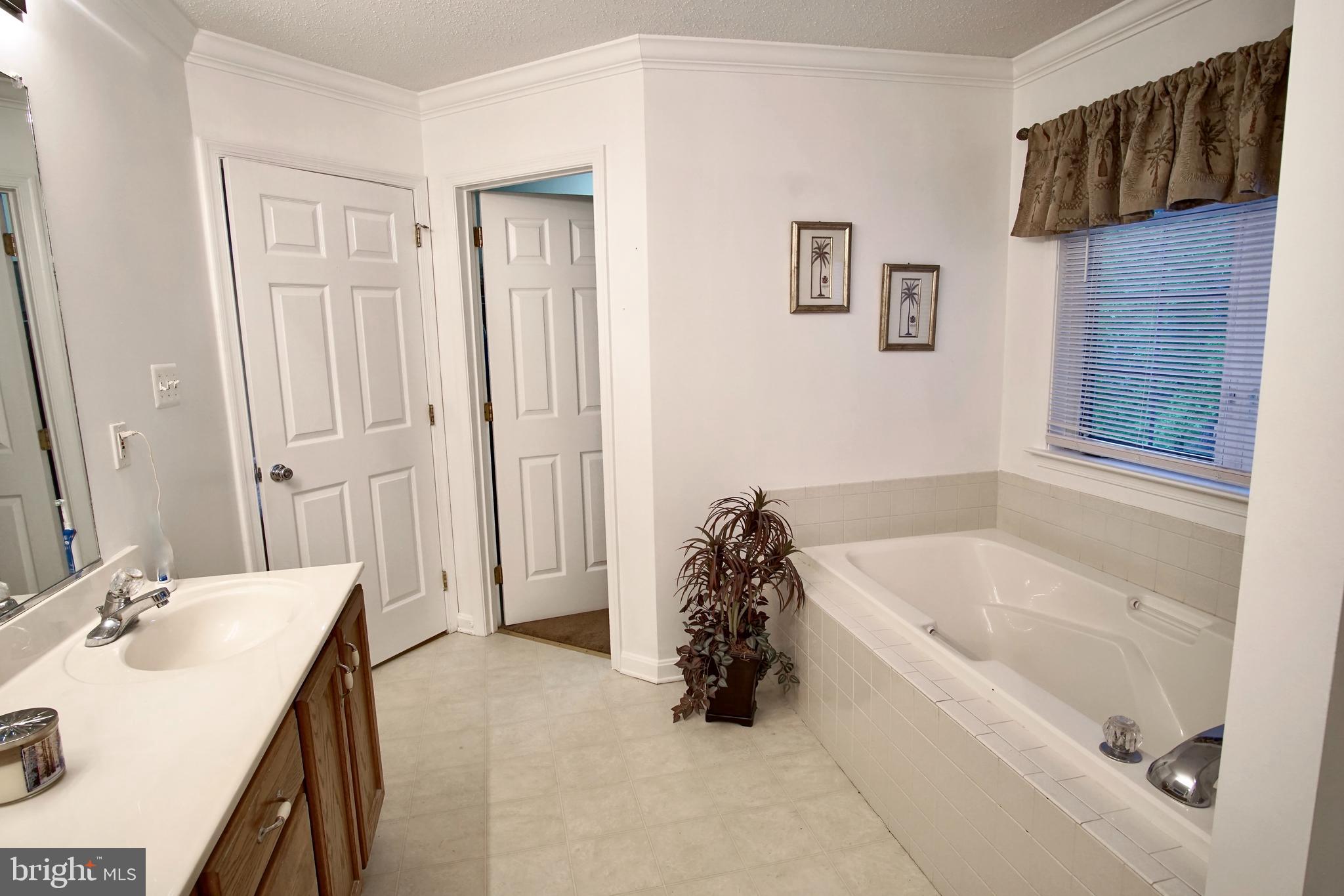 14550 Ivy Dale Court Swan Point, MD 20645 - Photo 35 of 48 Separate tub