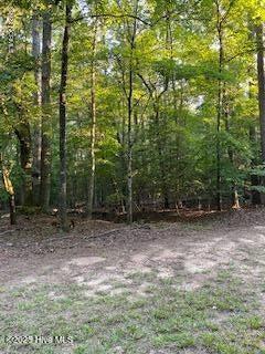 91 A Palomino Road Carthage, NC 28327 - Photo 2 of 6 Palomino 1