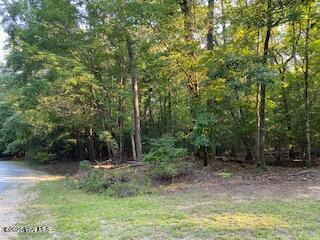 91 A Palomino Road Carthage, NC 28327 - Photo 3 of 6 Palomino 2