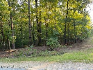 91 A Palomino Road Carthage, NC 28327 - Photo 4 of 6 Palomino 3