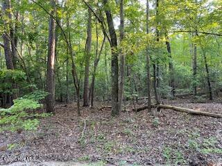 91 A Palomino Road Carthage, NC 28327 - Photo 5 of 6 Palomino 4