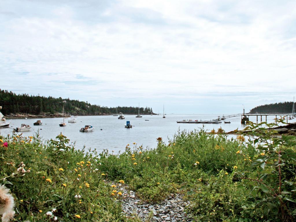 3 Clifton Dock Road Northeast Harbor, ME 04662 - Photo 7 of 25 Photo