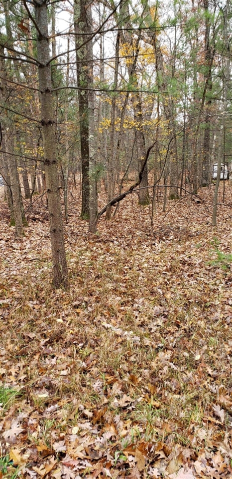 5 5 Mile Road Free Soil, MI 49411 - Photo 3 of 5