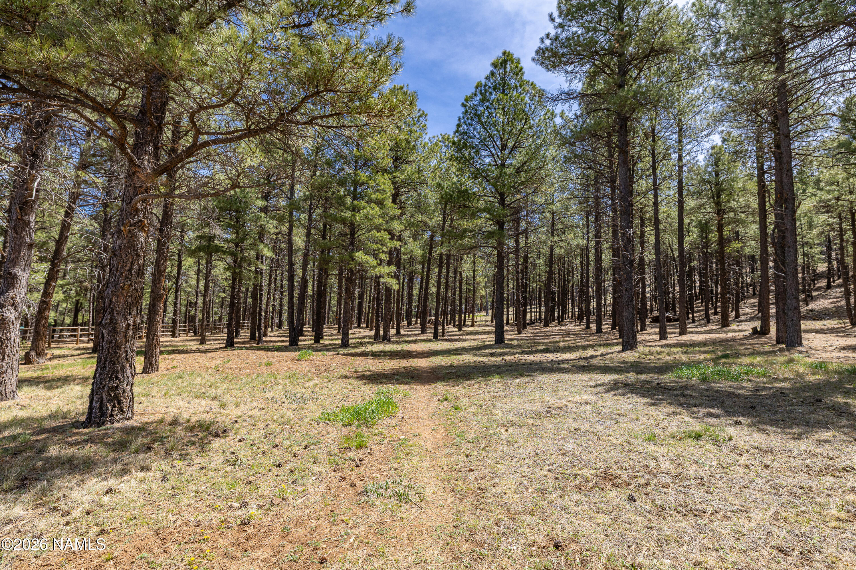 6610 North Snow Bowl Road Flagstaff, AZ 86001 - Photo 5 of 100 5 CP-6