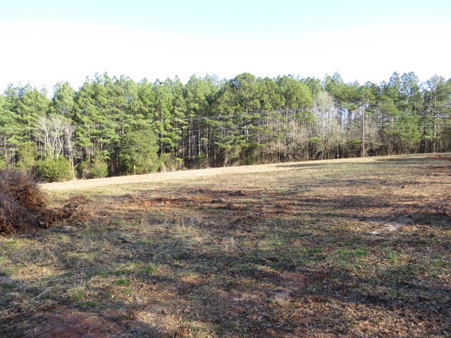 9847 Anderson Road Piedmont, SC 29673 - Photo 7 of 7 Gallery Image 7