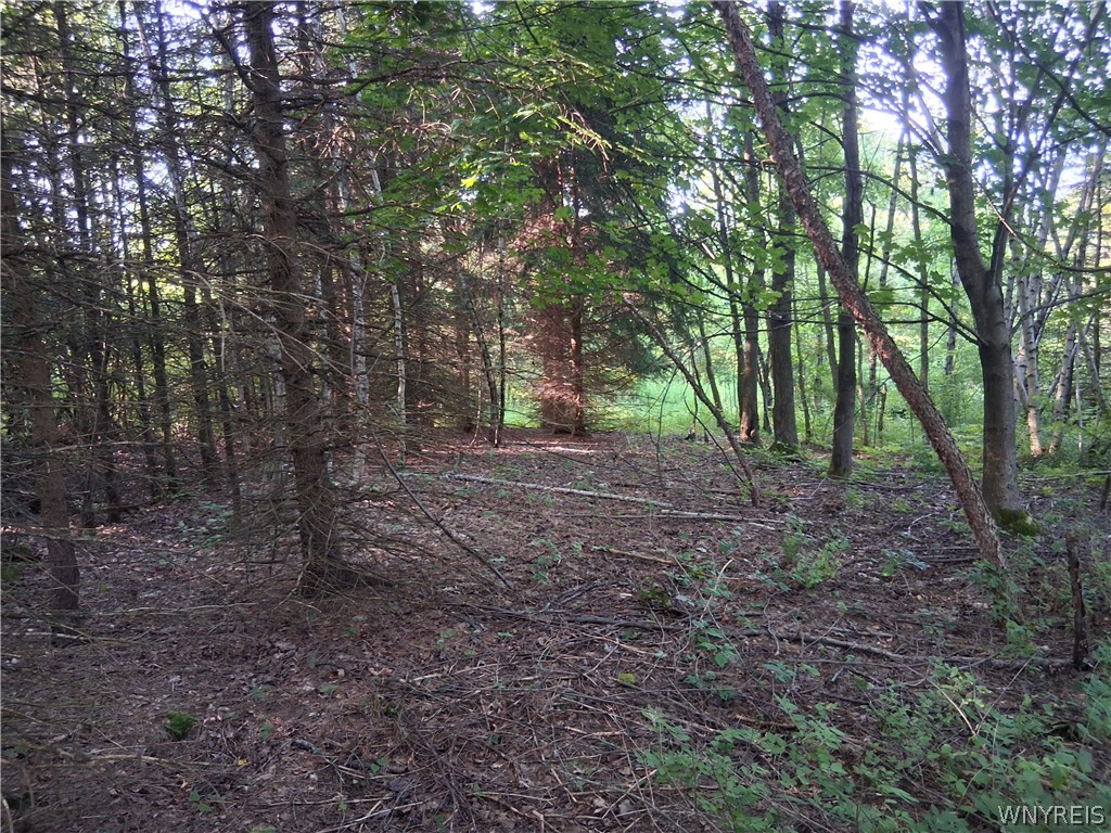 9190 Ball Road Otto, NY 14719 - Photo 29 of 31