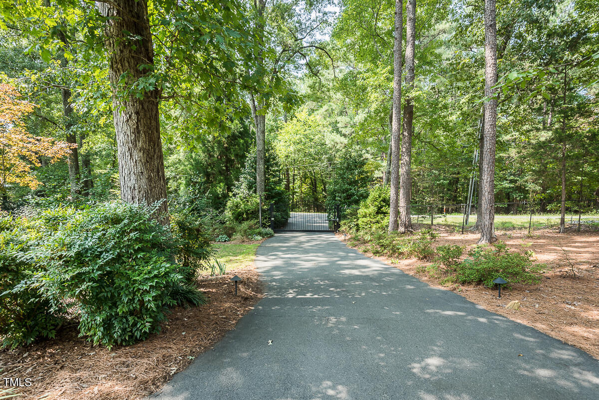 7214 Sunrise Road Chapel Hill, NC 27514 - Photo 55 of 61 a view of a road with plants and large trees
