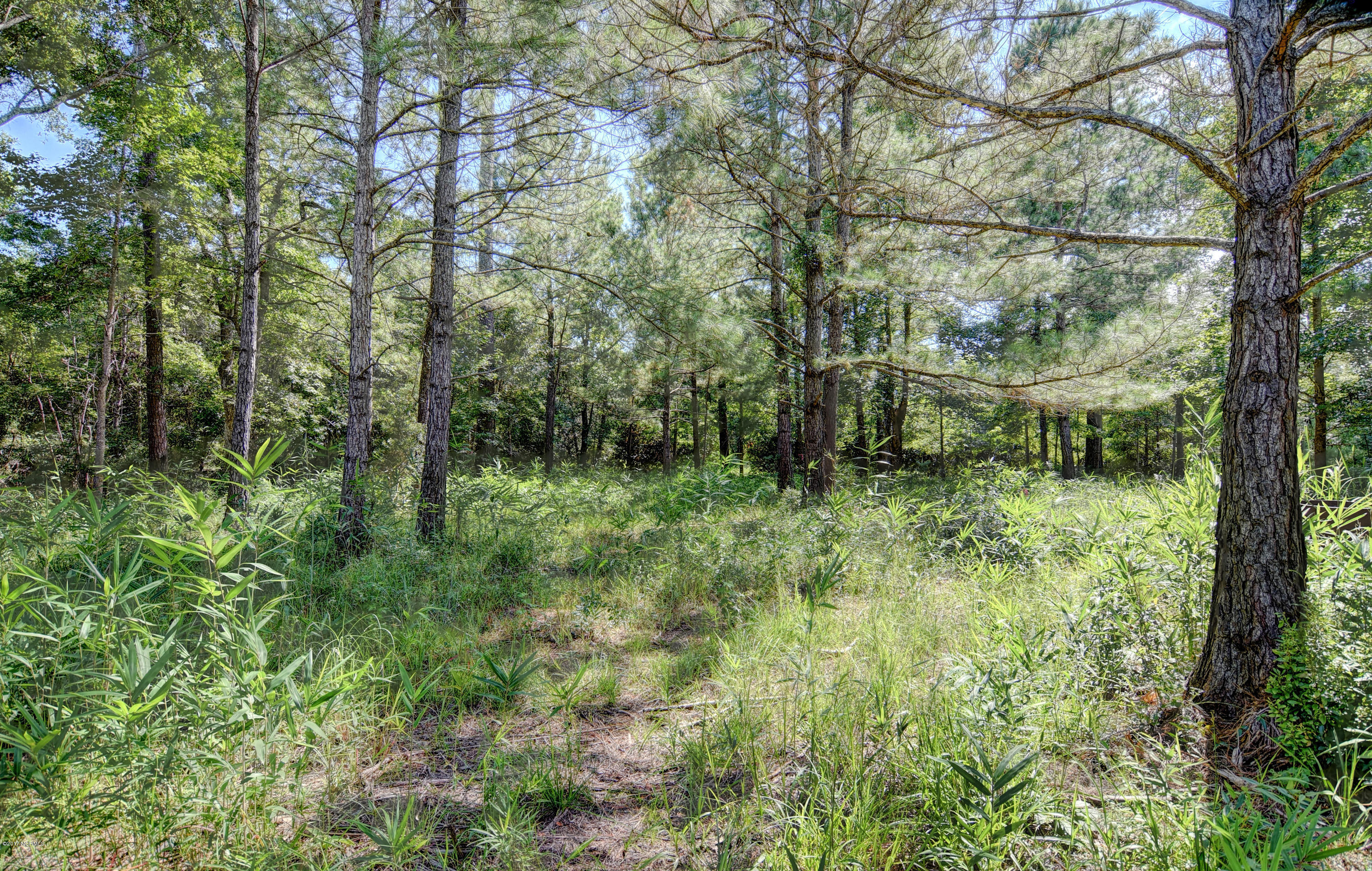7 Hughes Road Hampstead, NC 28443 - Photo 12 of 16 9