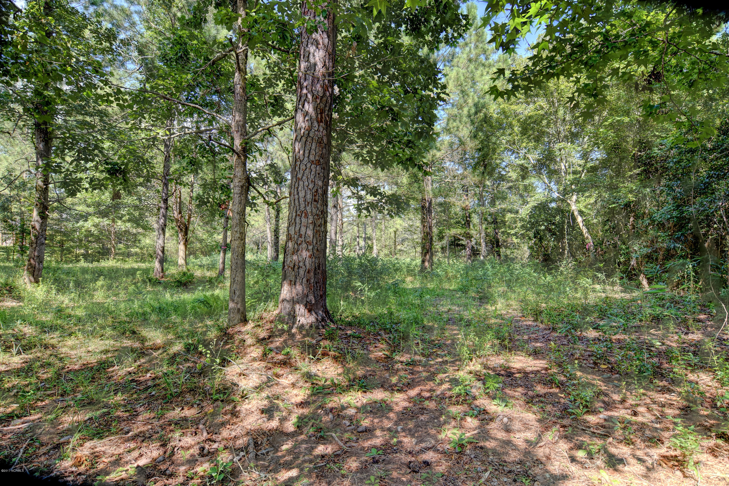 7 Hughes Road Hampstead, NC 28443 - Photo 13 of 16 3