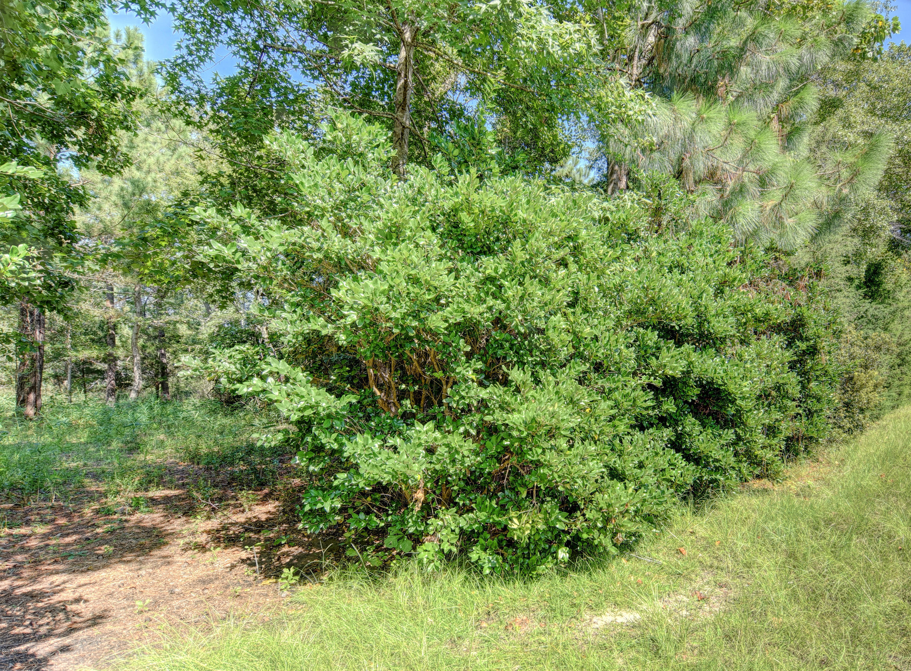 7 Hughes Road Hampstead, NC 28443 - Photo 15 of 16 1