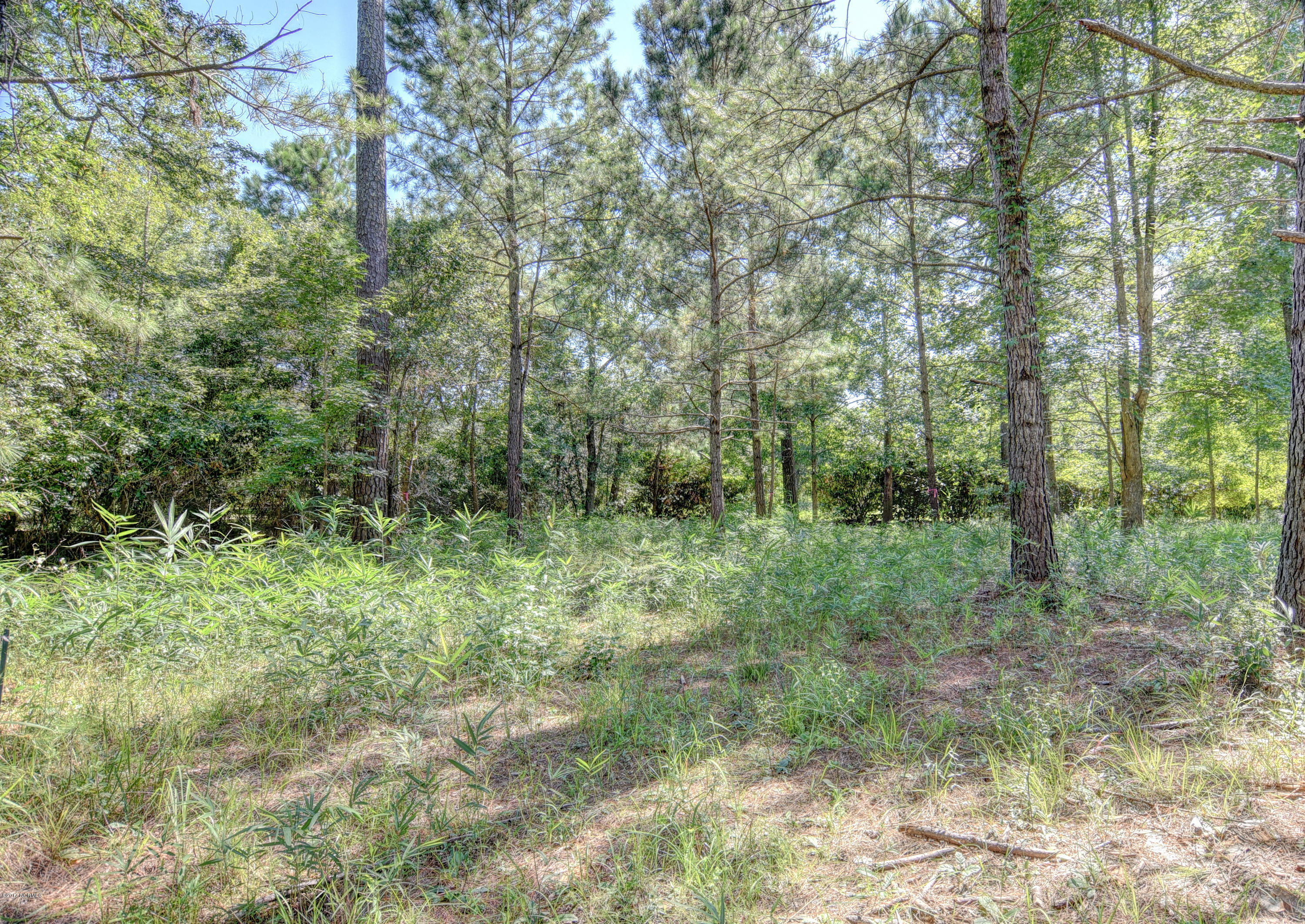 7 Hughes Road Hampstead, NC 28443 - Photo 6 of 16 4