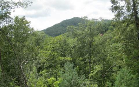 58 Brasstown View Road Murphy, NC 28906 - Photo 1 of 1 Main View