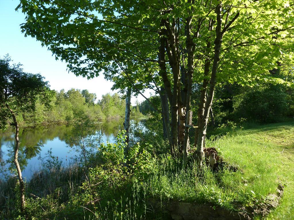 400 Long Rapids Road Alpena, MI 49707 - Photo 13 of 21 Gallery Image 13