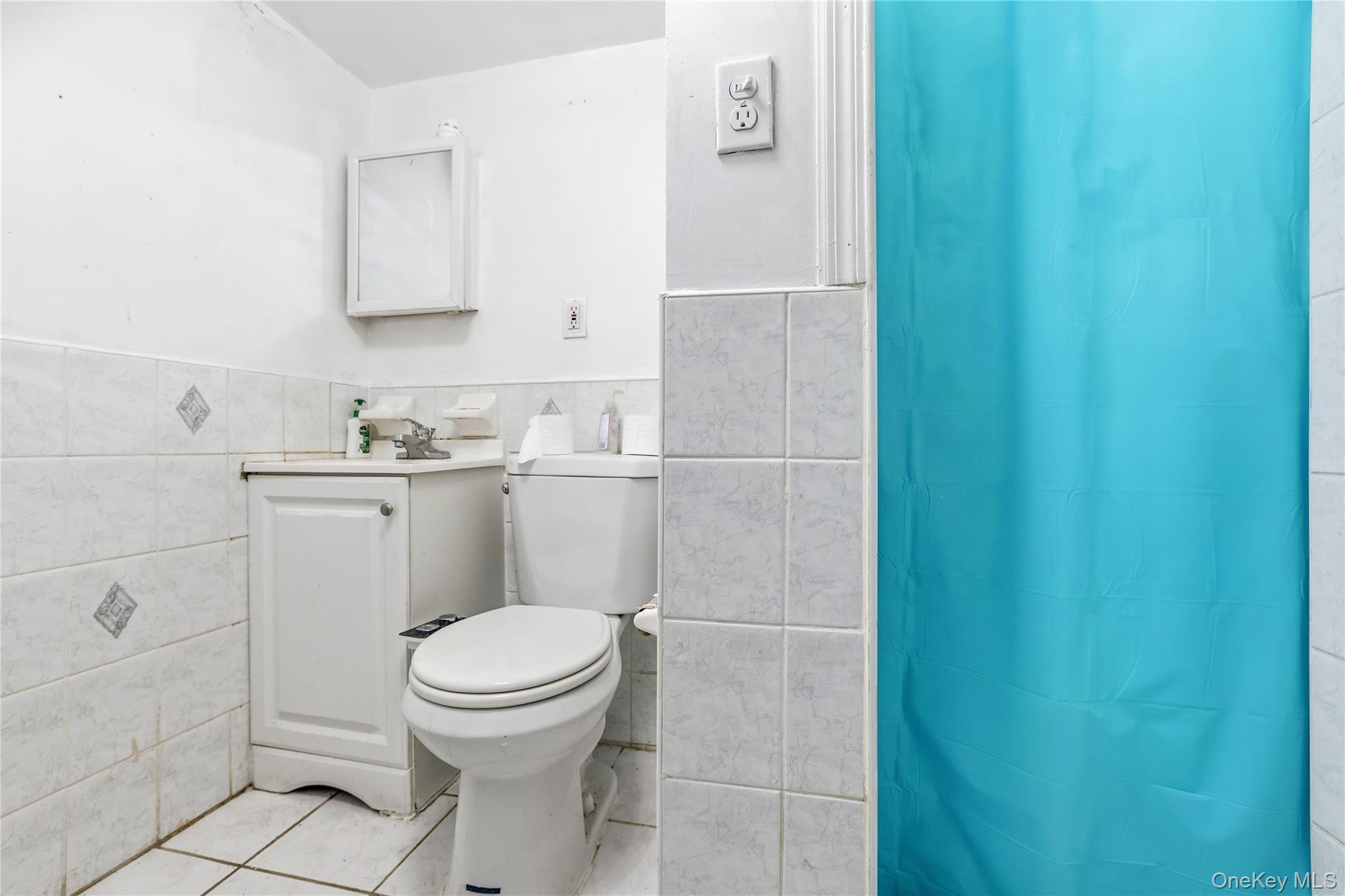 83-39 252nd Street Queens, NY 11426 - Photo 23 of 26 Bathroom with CO