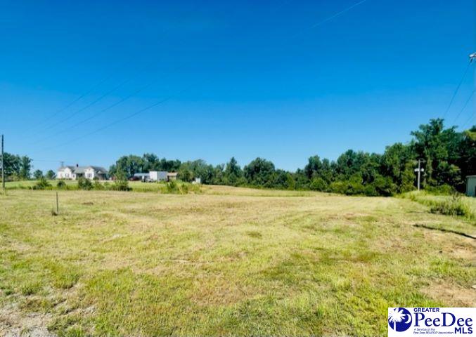 West Market St Extension Cheraw, SC 29520 - Photo 1 of 1 Gallery Image 1
