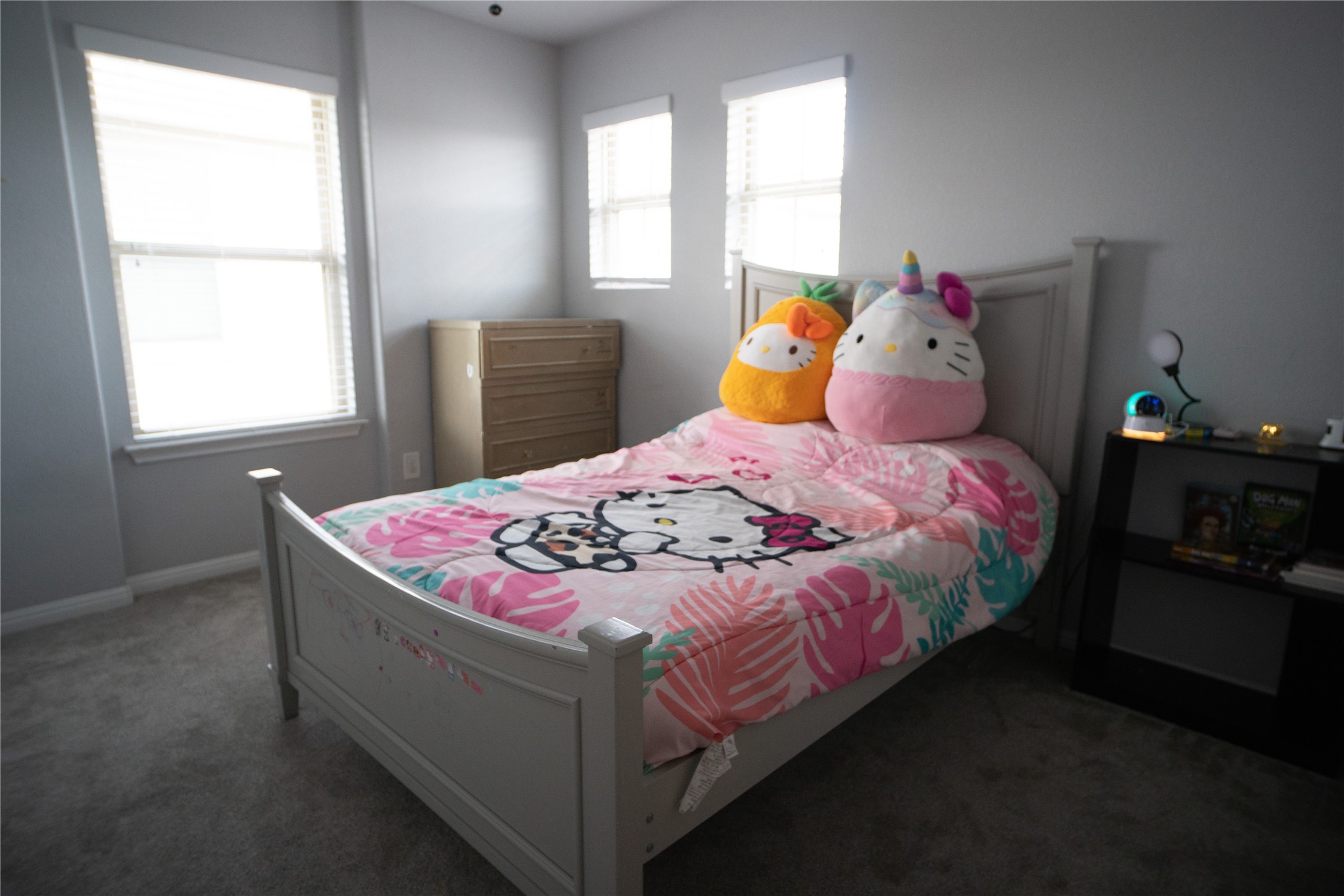 160 Shearwater Lane Leander, TX 78641 - Photo 13 of 24 a bedroom with a bed and window